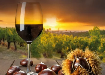 Weinwanderung mit Törggelen
